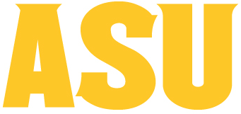 Arizona State Sun Devils 2011-Pres Wordmark Logo v6 diy iron on heat transfer